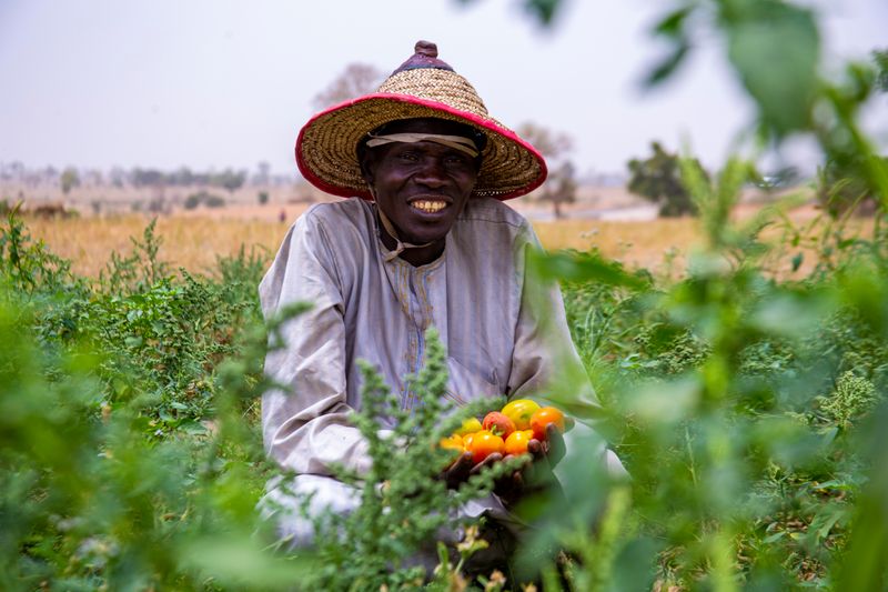 A farmer holds freshly harvested tomatoes